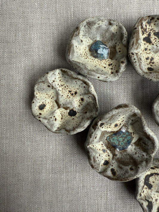 Winter Blooms: Floral Magnet Set of Six