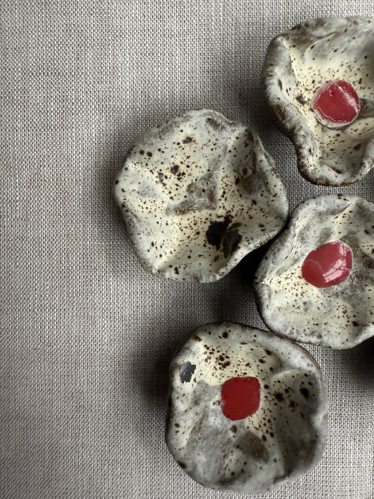 Winter Blooms: Floral Magnet Set of Six