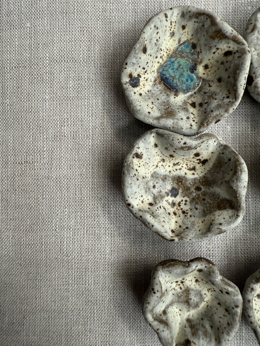 Winter Blooms: Floral Magnet Set of Six