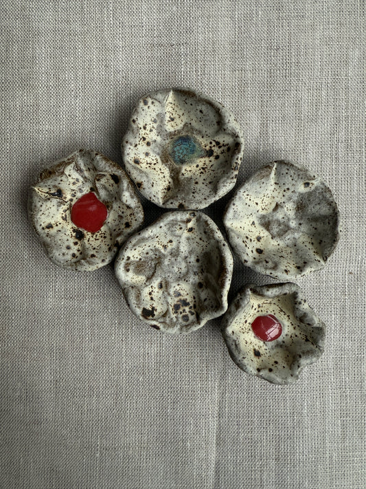 Winter Blooms: Floral Magnet Set of Five