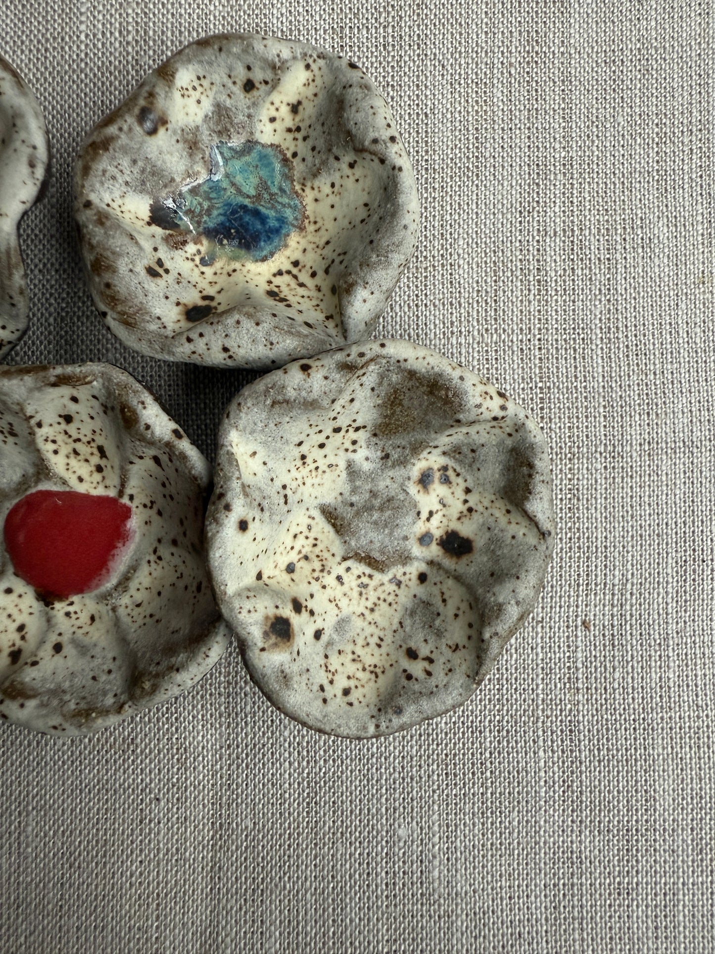Winter Blooms: Floral Magnet Set of Five