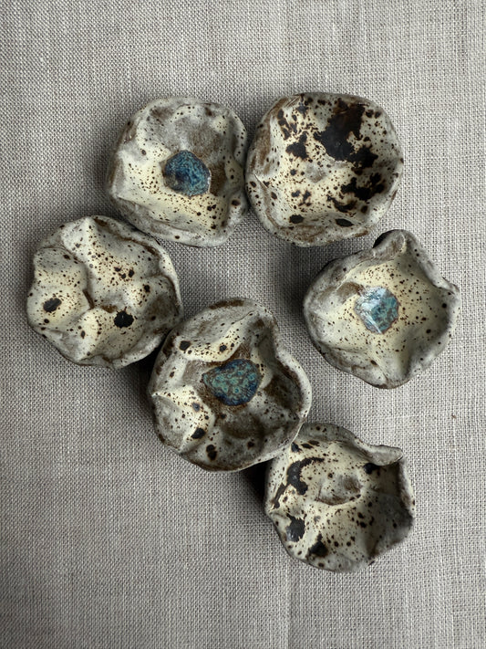 Winter Blooms: Floral Magnet Set of Six