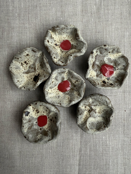 Winter Blooms: Floral Magnet Set of Six